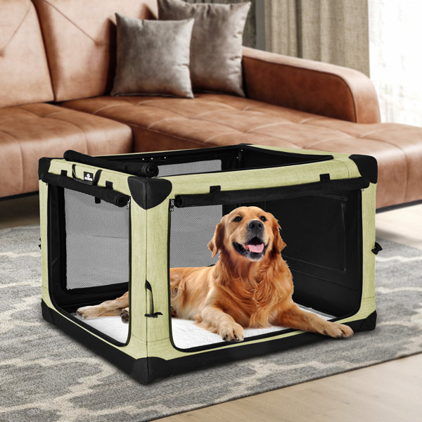 ARC Metal Collapsible Pet Crate with 4 Doors & Reviews Wayfair
